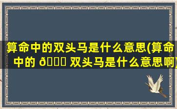 算命中的双头马是什么意思(算命中的 🐛 双头马是什么意思啊)